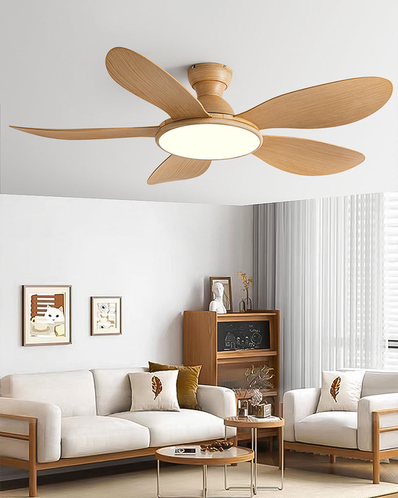 Nordik Clear Ceiling Fan