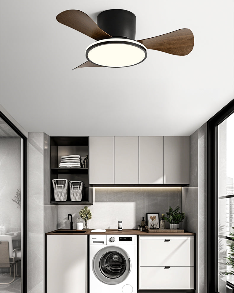 Lino Ceiling Fan