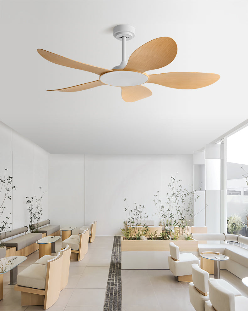 Modern Elegance Ceiling Fan