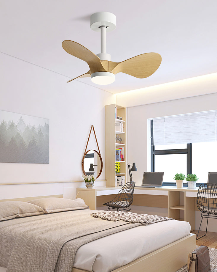 Compact Intimate Breeze Ceiling Fan