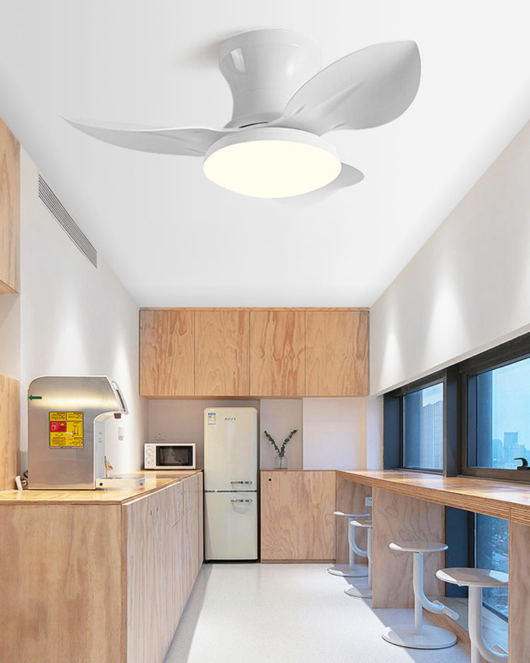 Mini Ventilateur de Plafond Design à Profil Bas