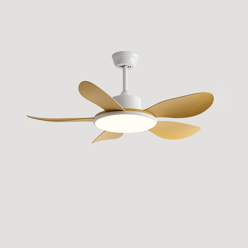Quintette Boreal Ceiling Fan