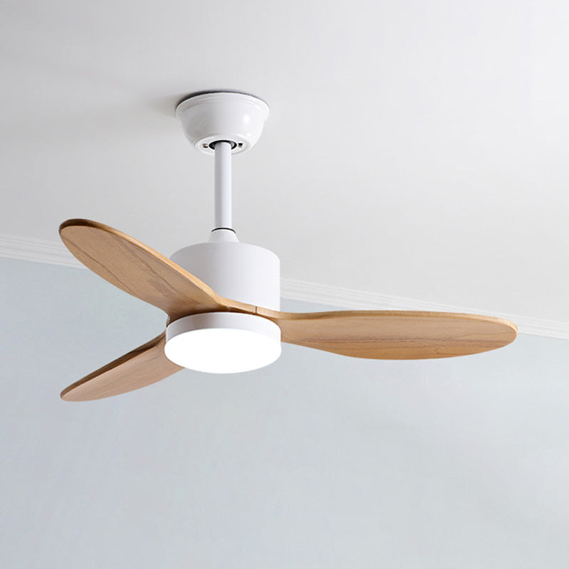 Ventilateur de plafond style vintage moderne-Ventilo Style