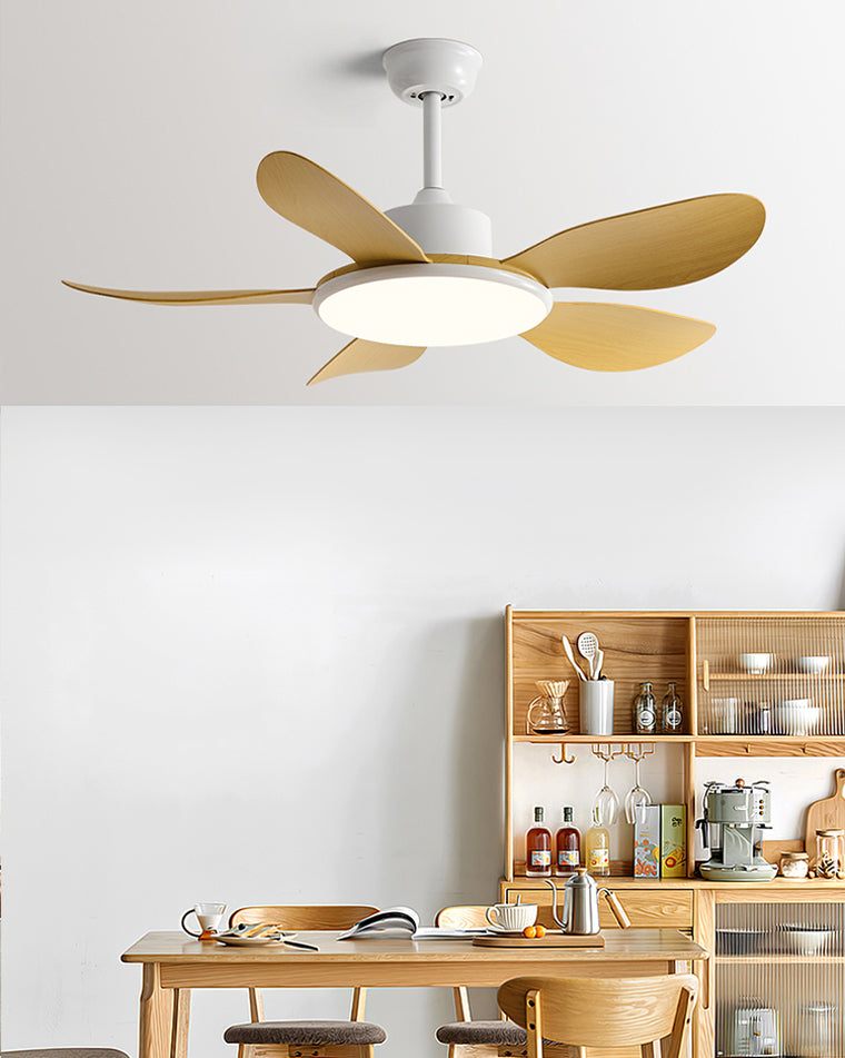 Quintette Boreal Ceiling Fan