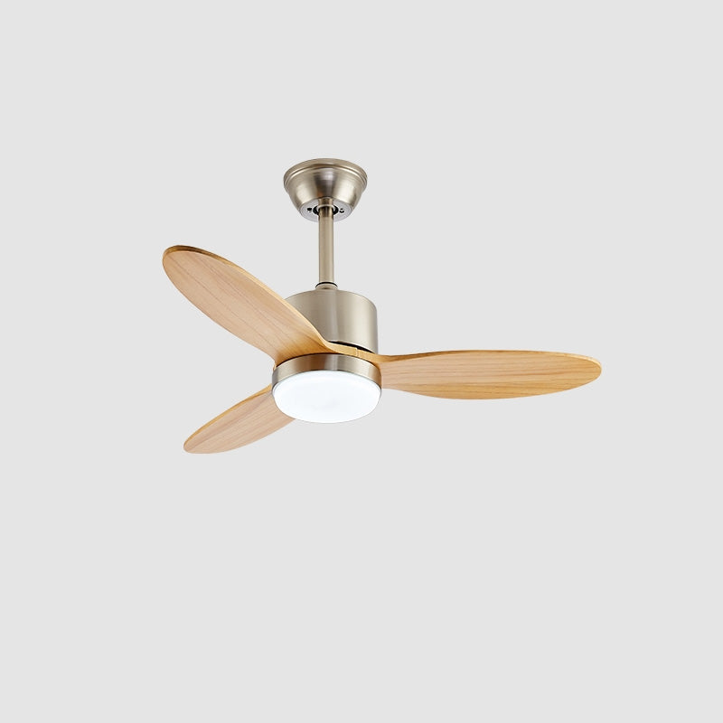 Moderno 50 Ceiling Fan