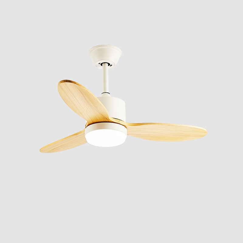 Moderno 50 Ceiling Fan