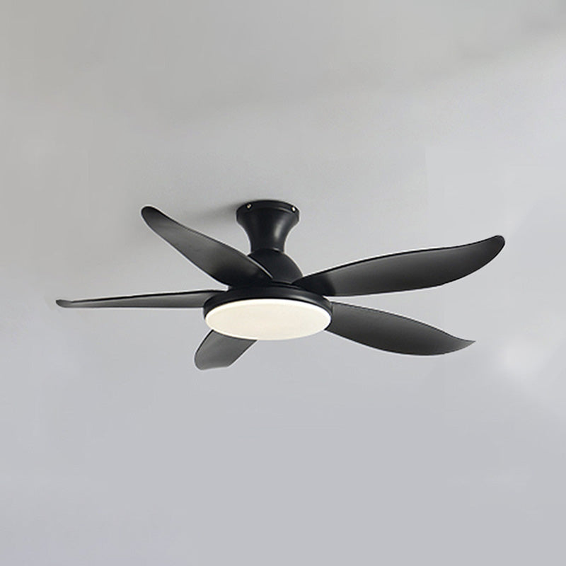 Ventilateur de Plafond Hélice XL