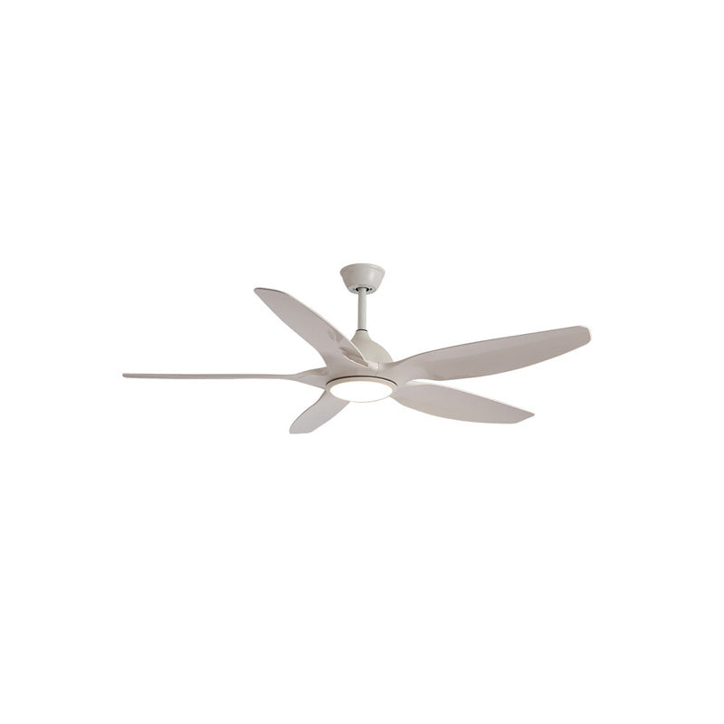 Grandio ceiling fan