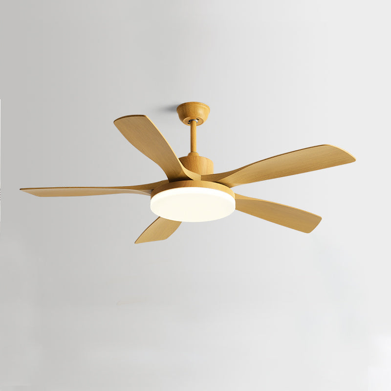 Nordik Quintessence Ceiling Fan