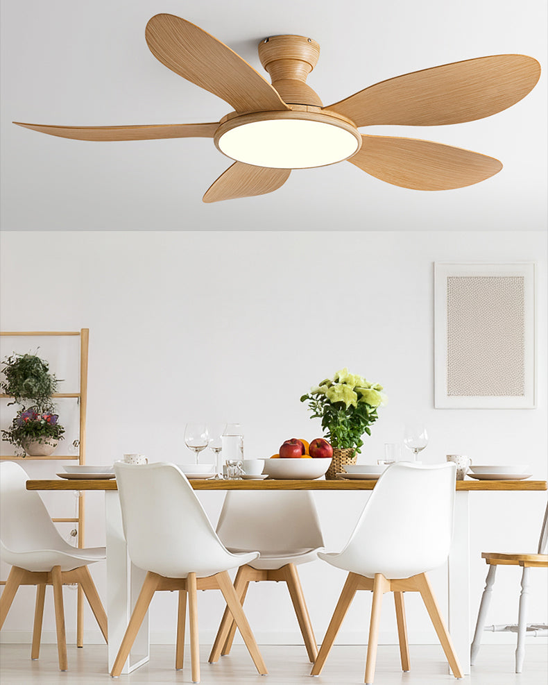 Nordik Clear Ceiling Fan