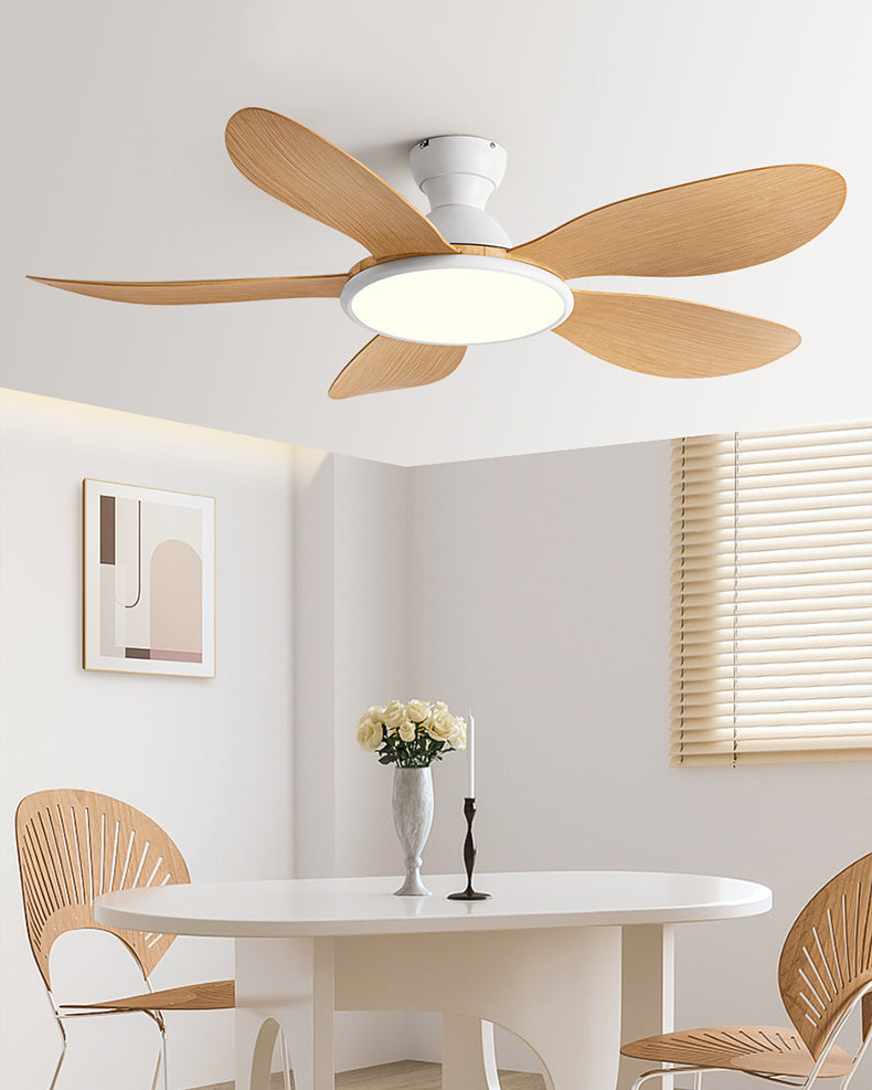 Nordik Clear Ceiling Fan