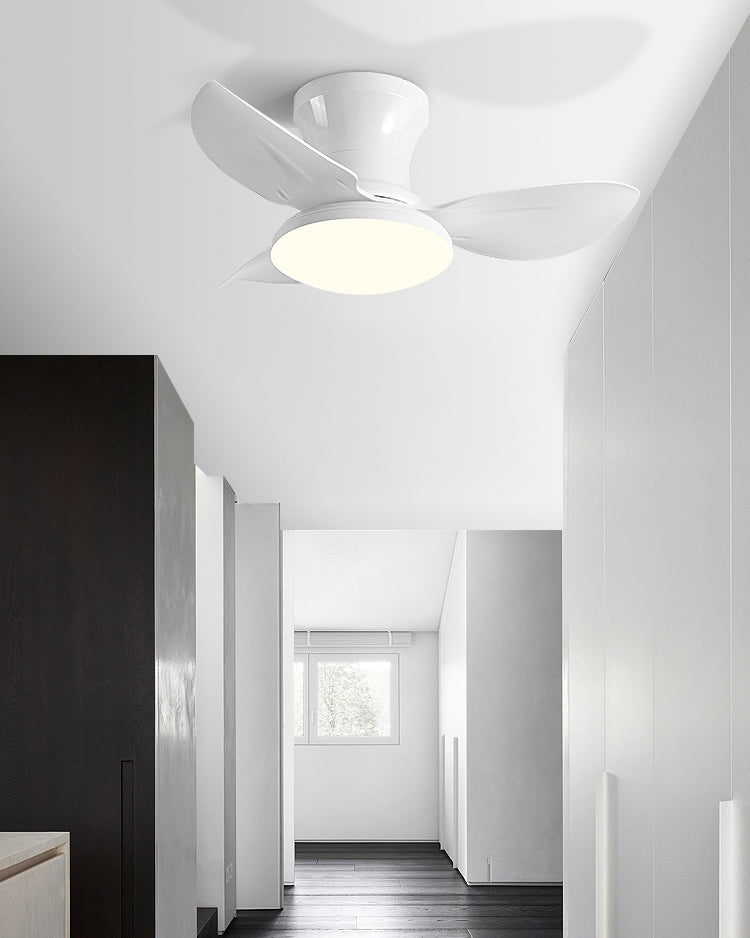 Mini Ventilateur de Plafond Design à Profil Bas