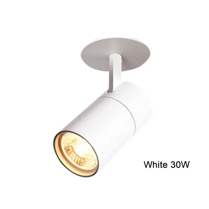 Variant image for Spot Plafonnier LED Directionnel - Éclat Moderne Design-19