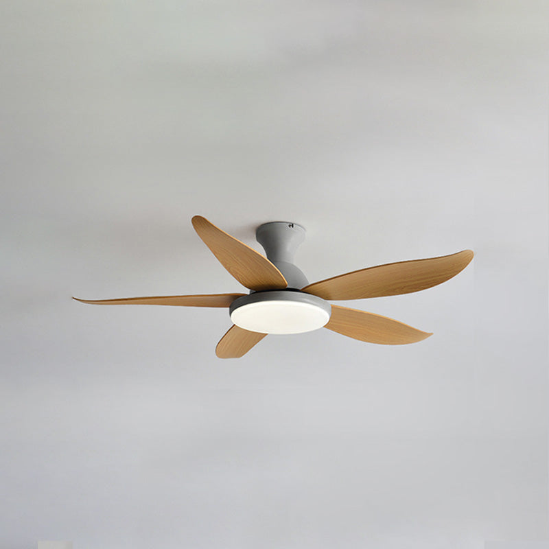 Ventilateur de Plafond Hélice XL