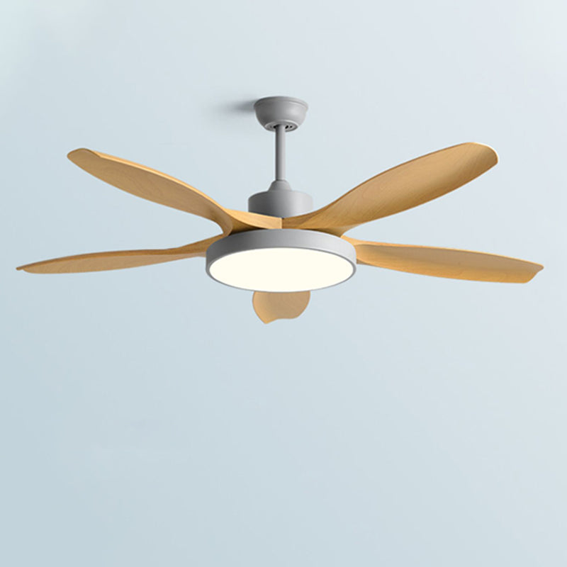 Ventilateur de Plafond Moderne à 5 Pales