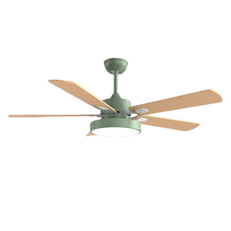 Ventilateur de plafond 5 pales en bois-Borealis™