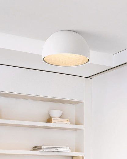 Dome Asymmetrical Recessed Ceiling Light