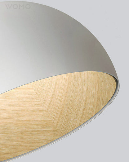 Dome Asymmetrical Recessed Ceiling Light