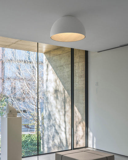 Dome Asymmetrical Recessed Ceiling Light