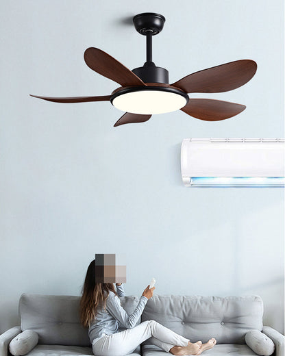 Quintette Boreal Ceiling Fan