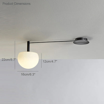 Frosted Glass Globe Ceiling Light