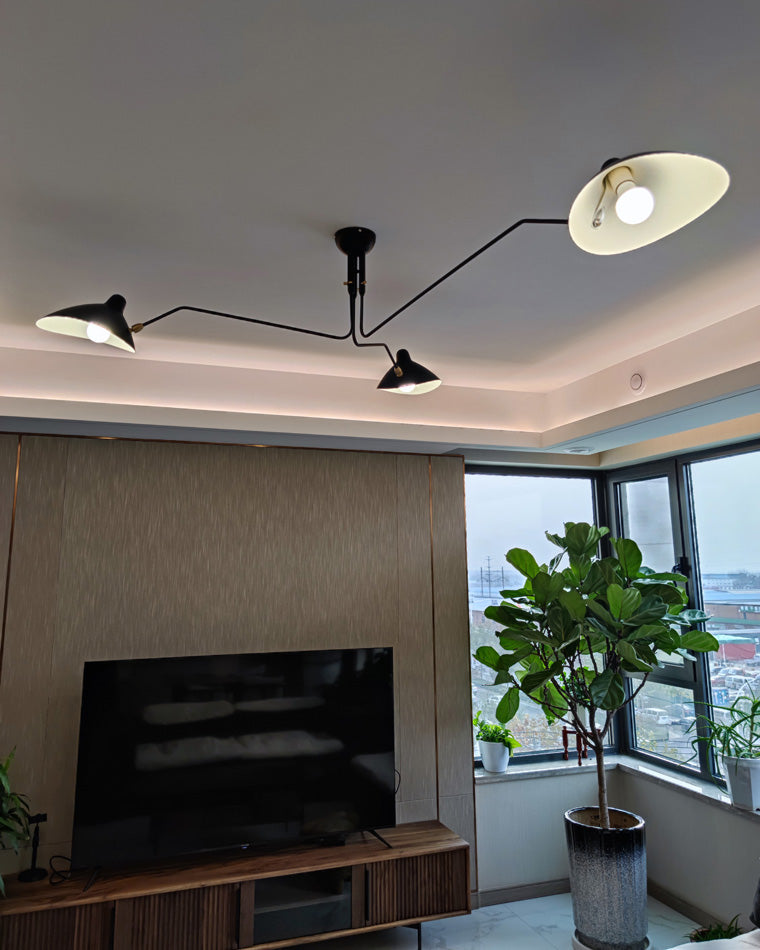 Semi-Flush Mount Ceiling Light - Arms