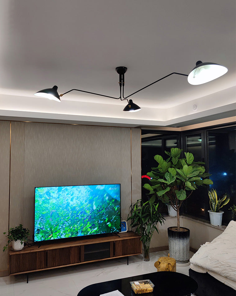 Semi-Flush Mount Ceiling Light - Arms