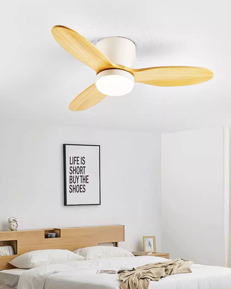 Moderno 50 Ceiling Fan
