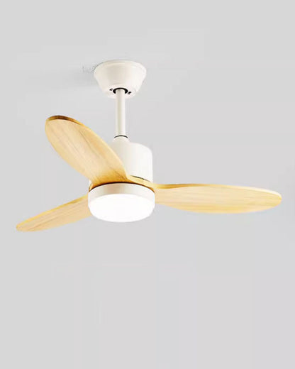 Moderno 50 Ceiling Fan