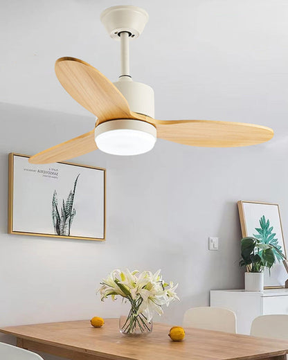 Moderno 50 Ceiling Fan