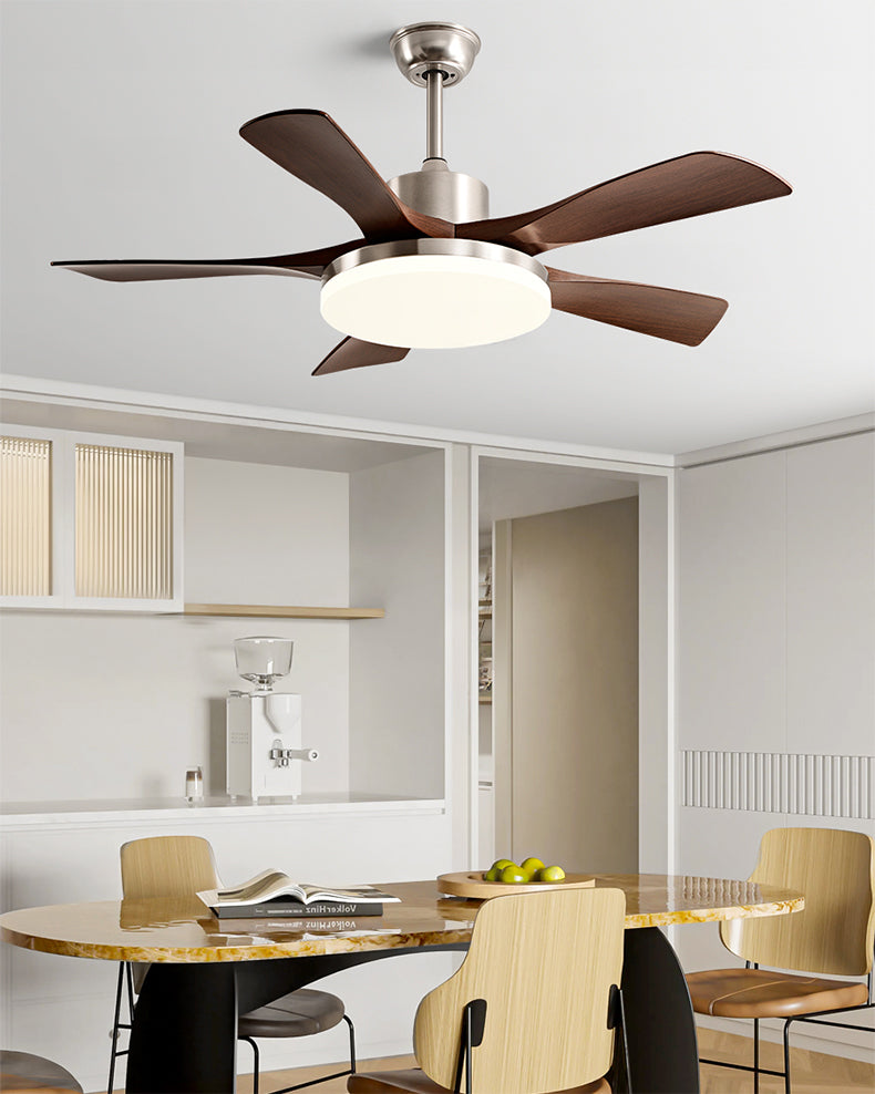 Celestia Ceiling Fan