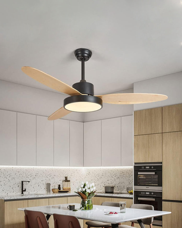 AeroBlade Ceiling Fan