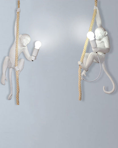 Suspension - Monkey Rope