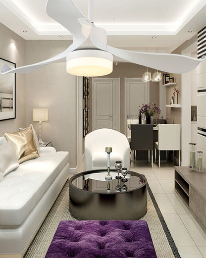 BrisePure ceiling fan
