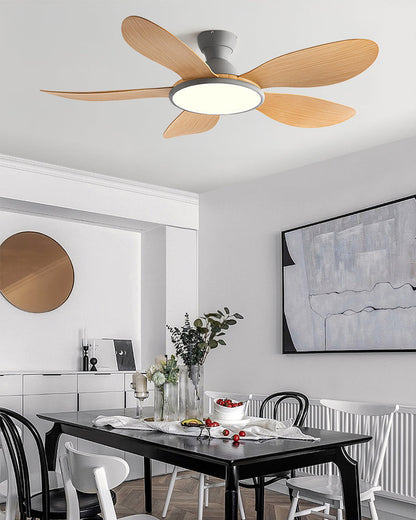Nordik Clear Ceiling Fan