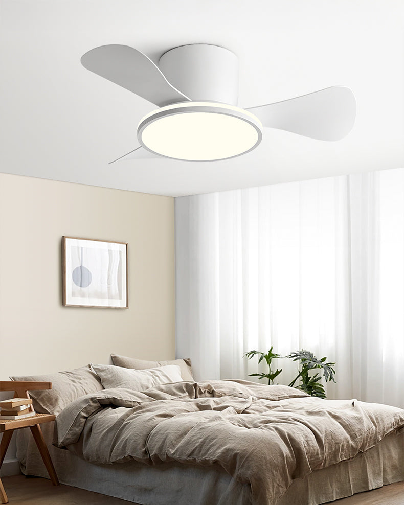 Lino Ceiling Fan