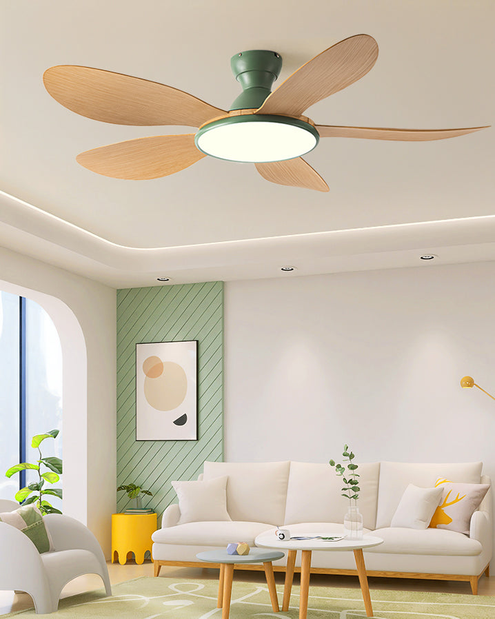 Nordik Clear Ceiling Fan