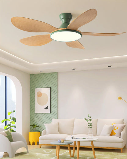 Nordik Clear Ceiling Fan