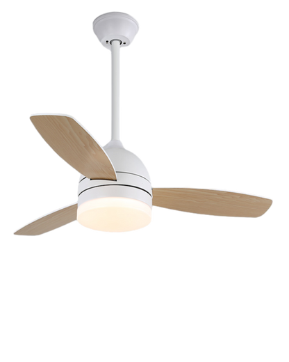 Nordik Aura Ceiling Fan