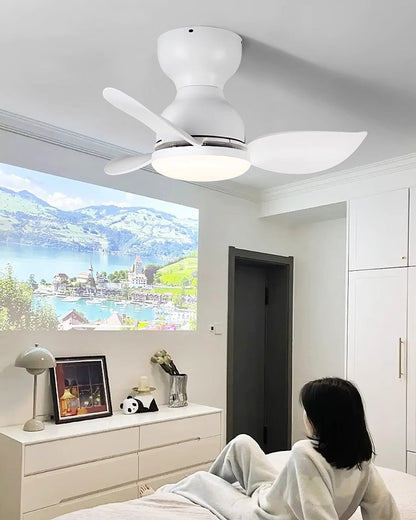 Mini LED Recessed Ceiling Fan