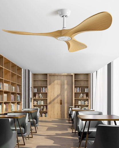 Trilo Ceiling Fan