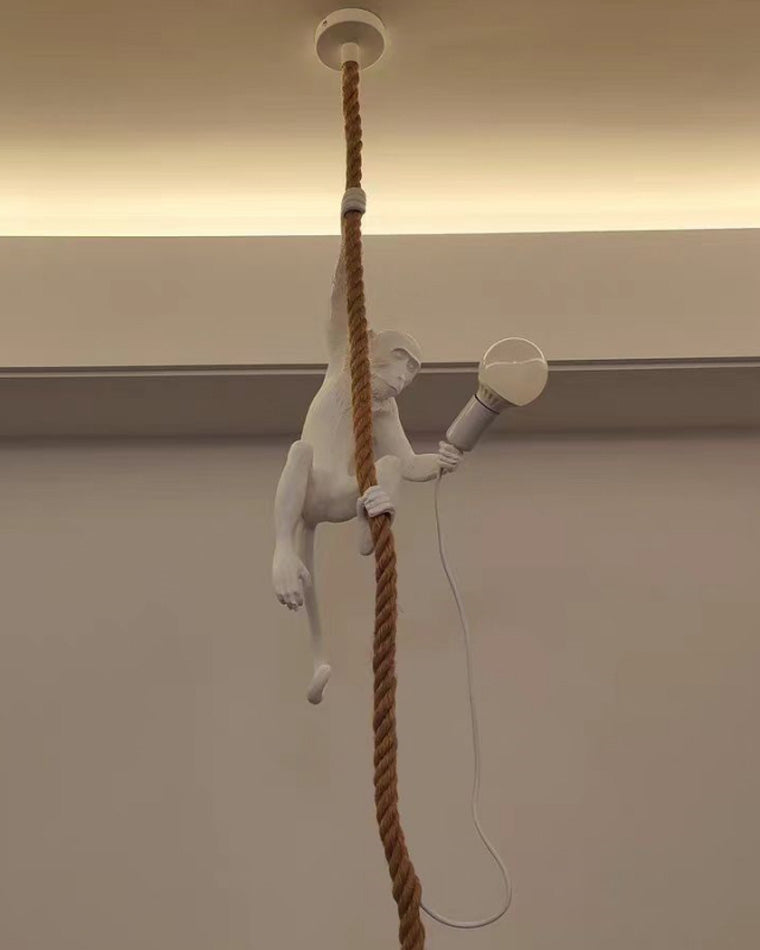 Suspension - Monkey Rope