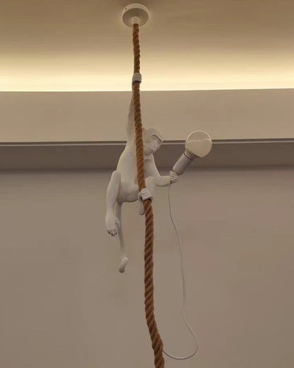 Suspension - Monkey Rope