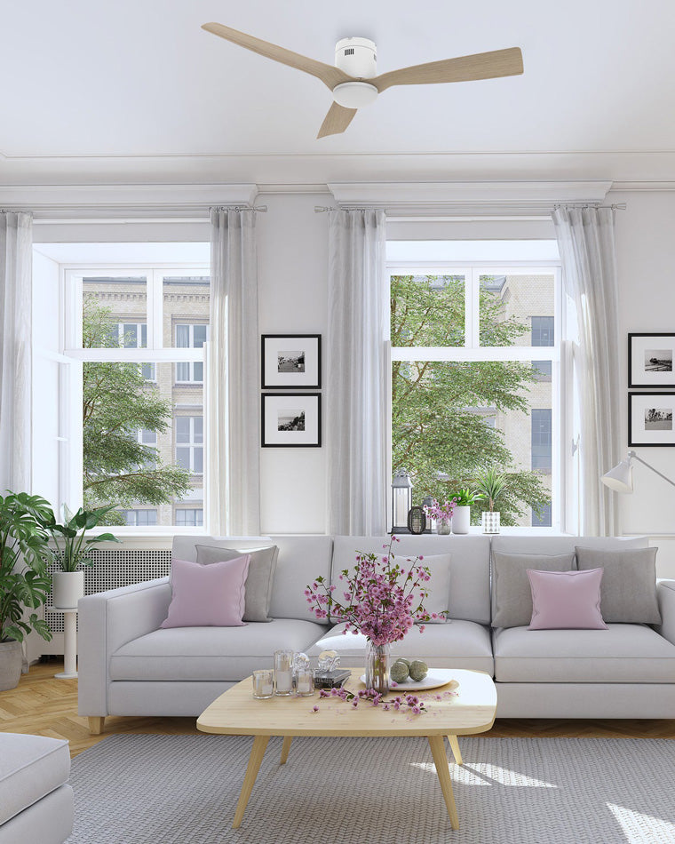 Zenline Ceiling Fan