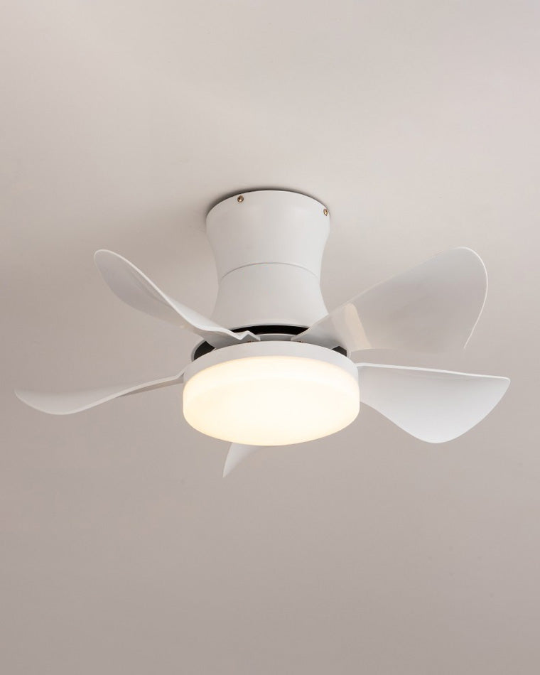 AeroMini LED Fan