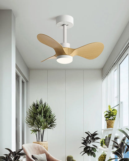 Compact Intimate Breeze Ceiling Fan