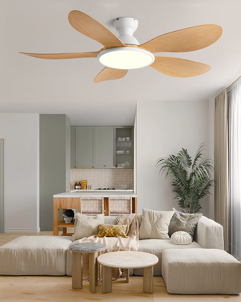 Nordik Clear Ceiling Fan