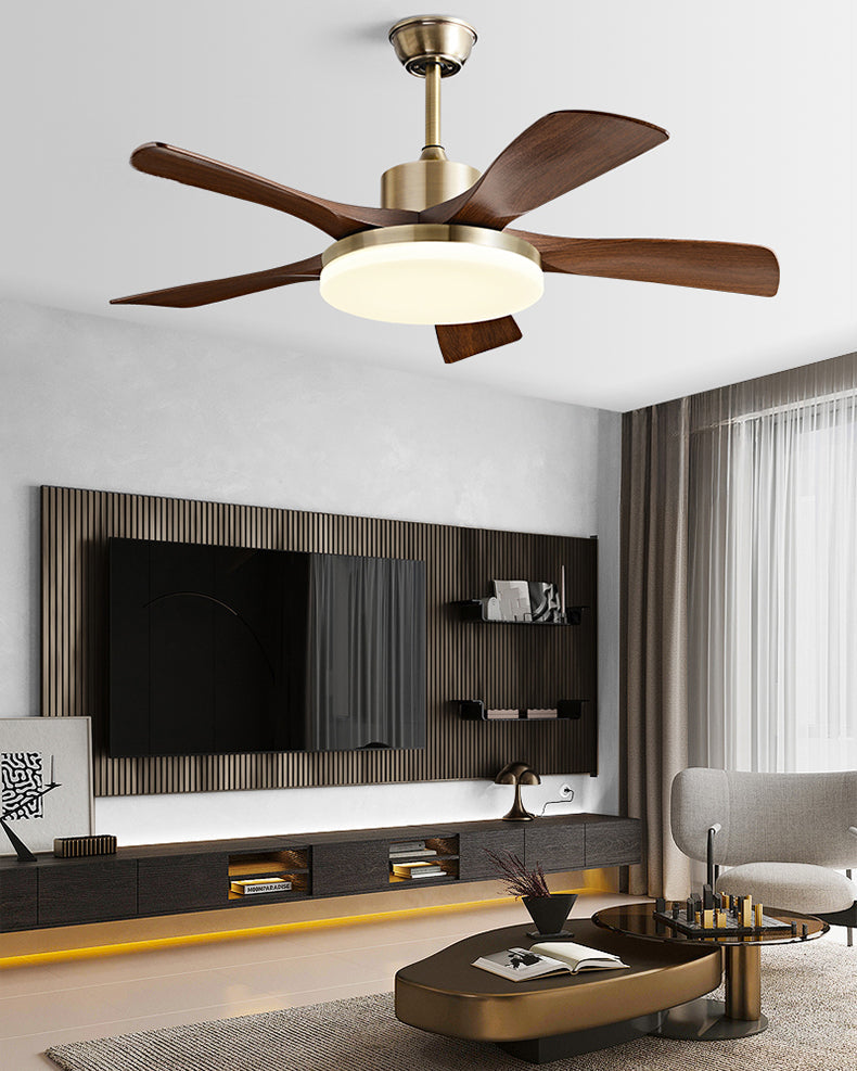 Celestia Ceiling Fan