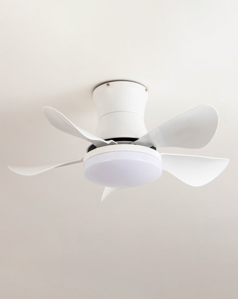 AeroMini LED Fan