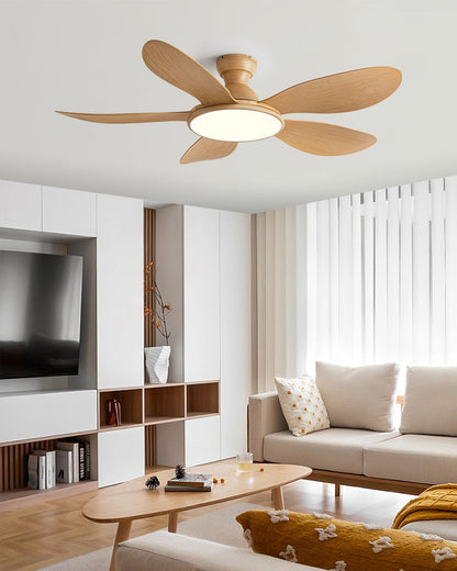 Nordik Clear Ceiling Fan